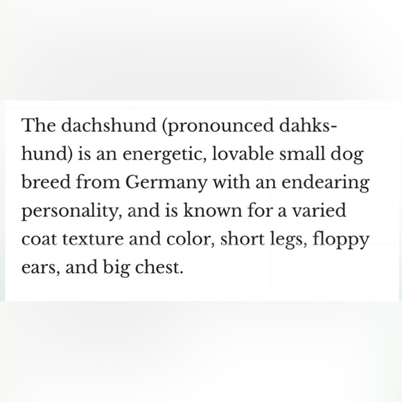 Wiener Dog Funny Coffee Mug Dachshund Doxie‎ 11oz Cup Gift NWT - Picture 8 of 10